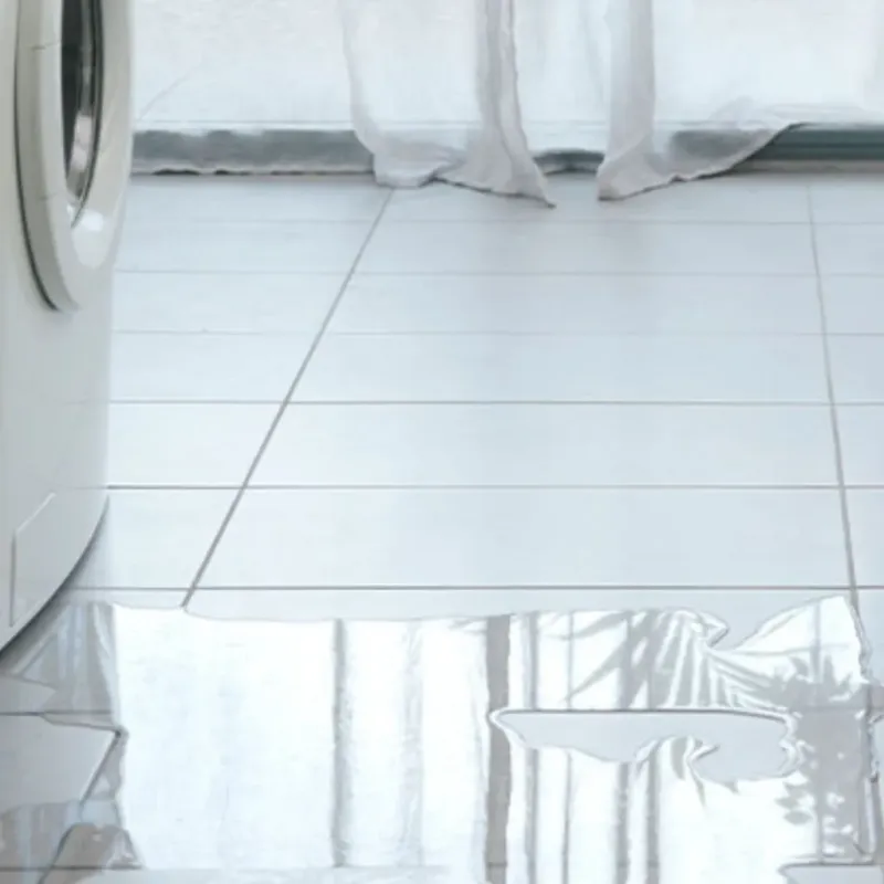 Appliance Leak Cleanup in Eunice, LA