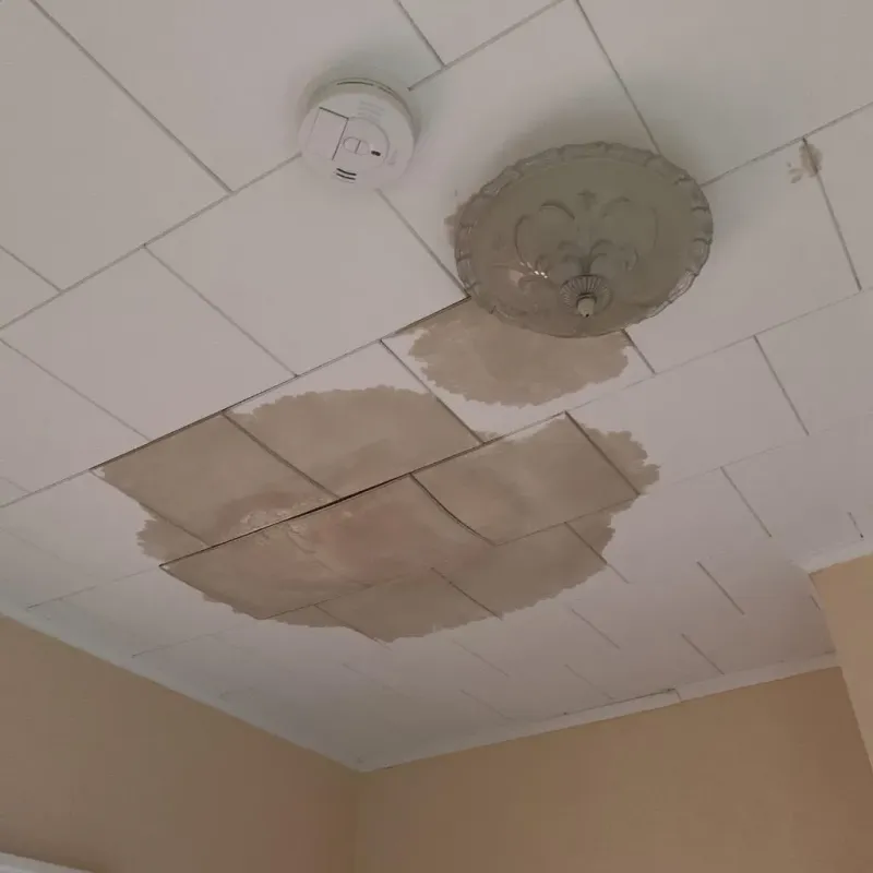 Ceiling Water Damage Repair in Eunice, LA