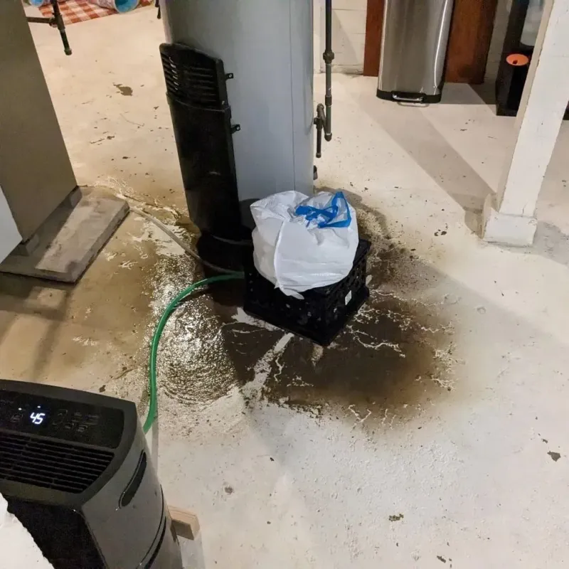 Sewage Backup Cleanup Service in Eunice, LA